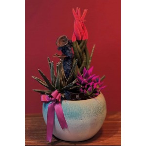Terrarium Özel seramik saksıda ithal sukulentler